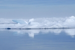 Icebergs et banquise 008 1669