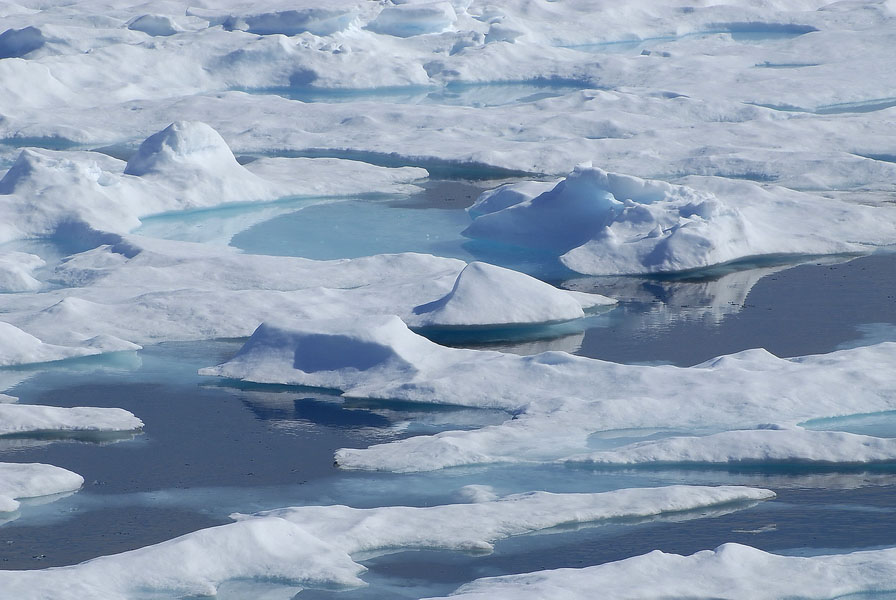 Icebergs et banquise 011 1672