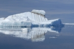 Icebergs et banquise 014 1675