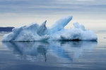 Icebergs et banquise 015 1676